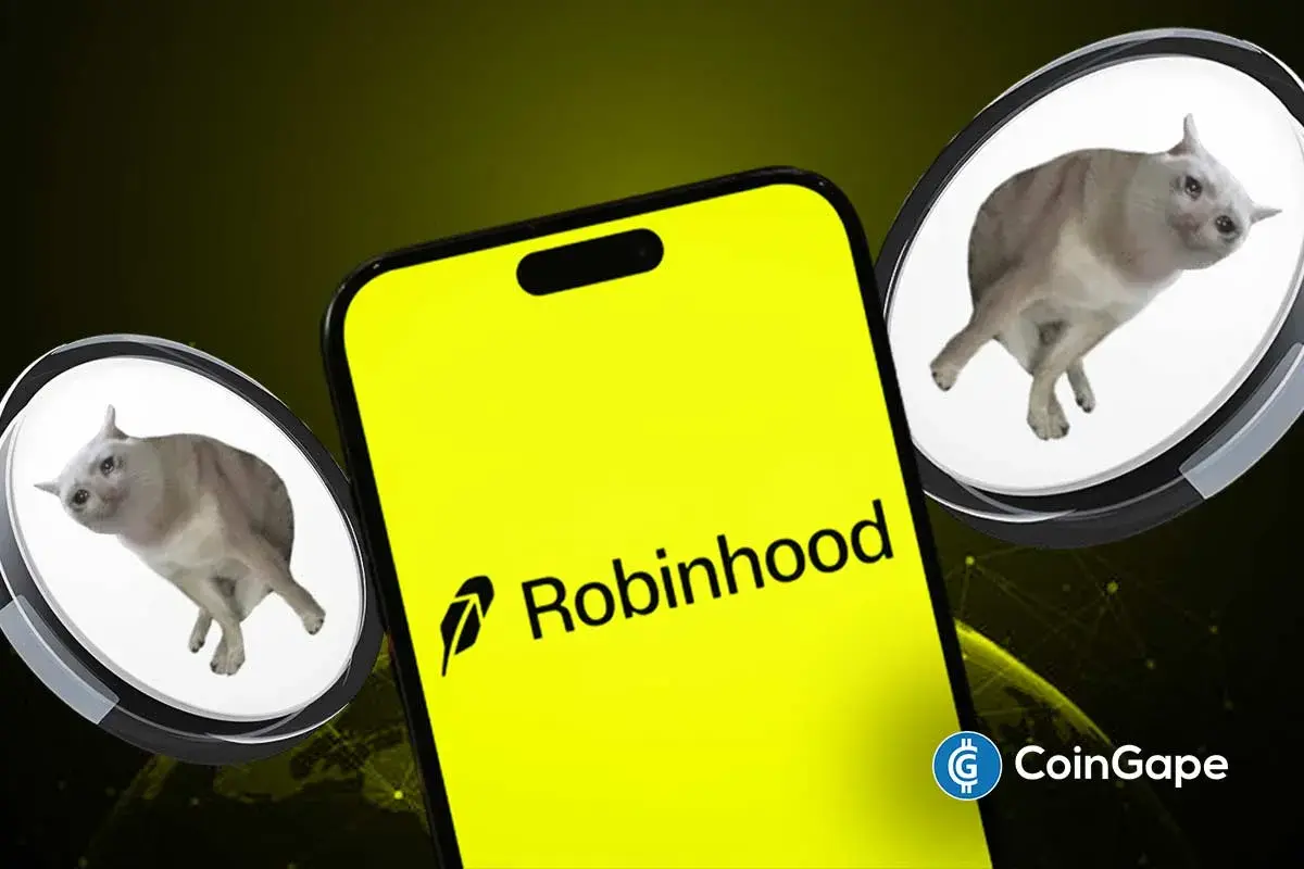Top Performing Tokens on Robinhood Chain That Could Outperform CASHCAT