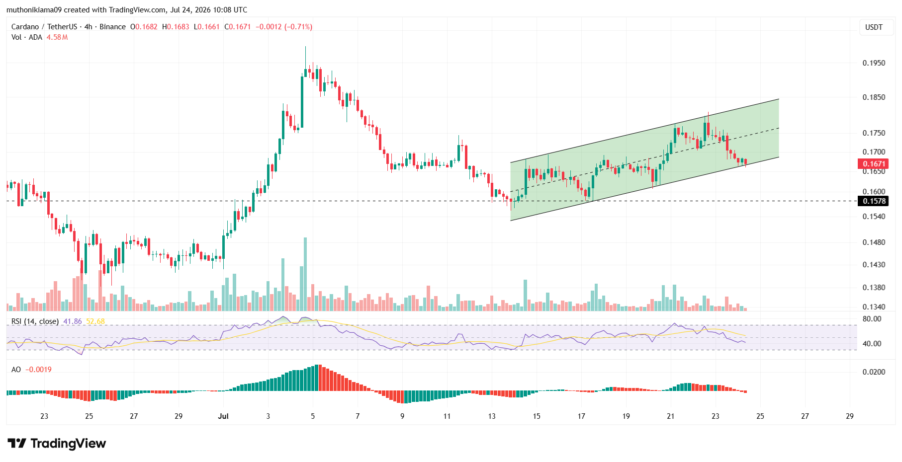 What's Next for Cardano Price After Recent Drop?