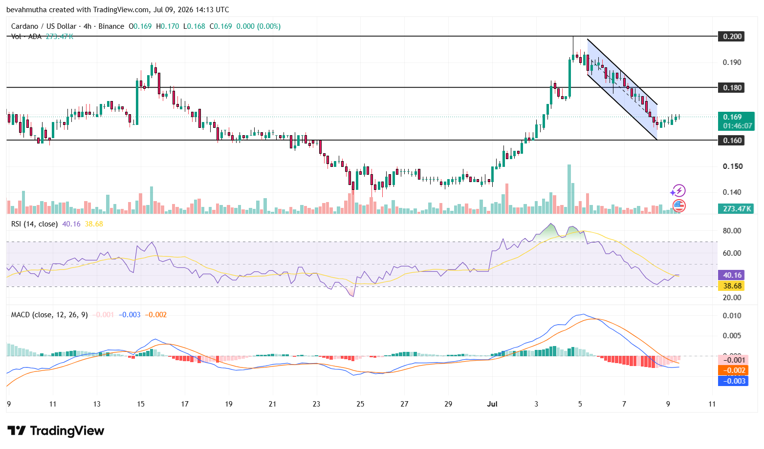 Analyst Predicts ADA Rally if Cardano Price Defends $0.16 Level