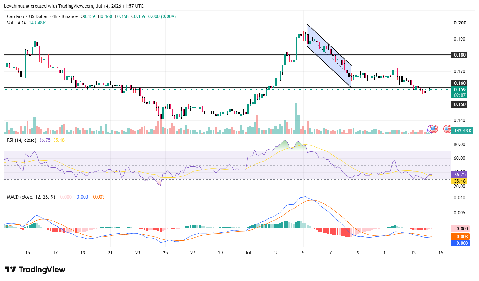 Cardano Price Eyes Recovery as 100K–100M ADA Wallets Hit Highest Holdings Since 2023