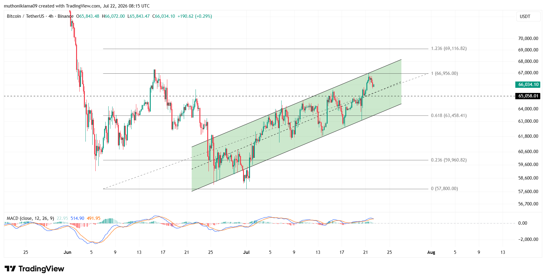 Bitcoin Price Outlook as Bullish Pattern Holds