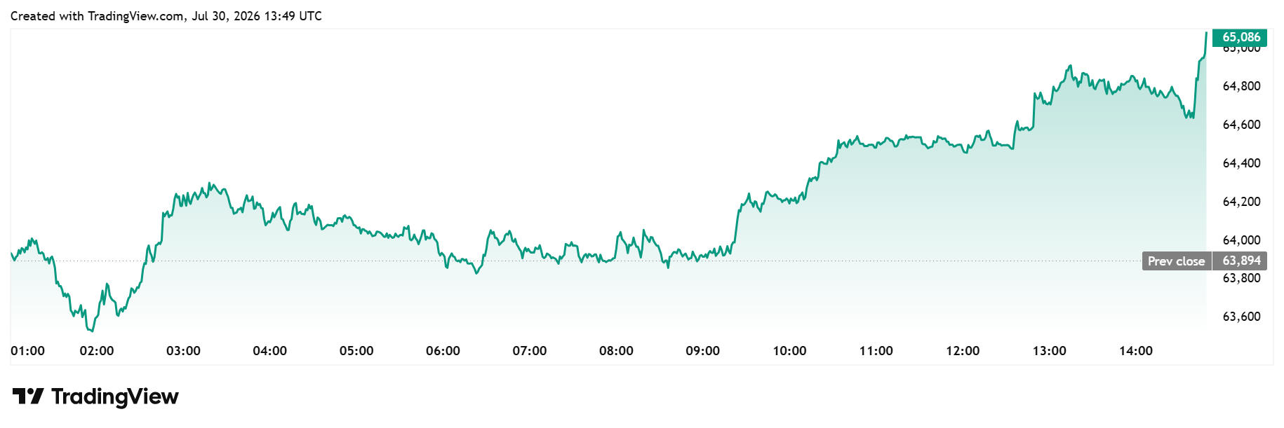 Bitcoin daily chart