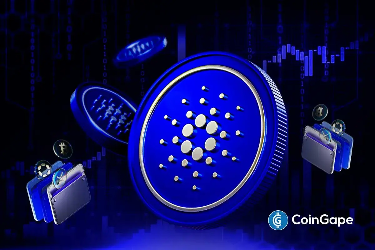 Cardano Price Eyes Recovery as 100K–100M ADA Wallets Hit Highest Holdings Since 2023