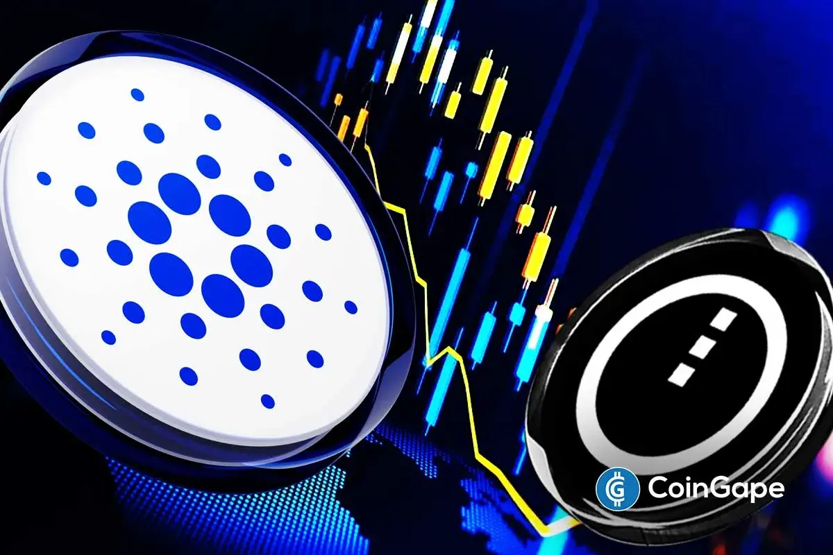 Cardano Price Prediction After Another Ecosystem Hack
