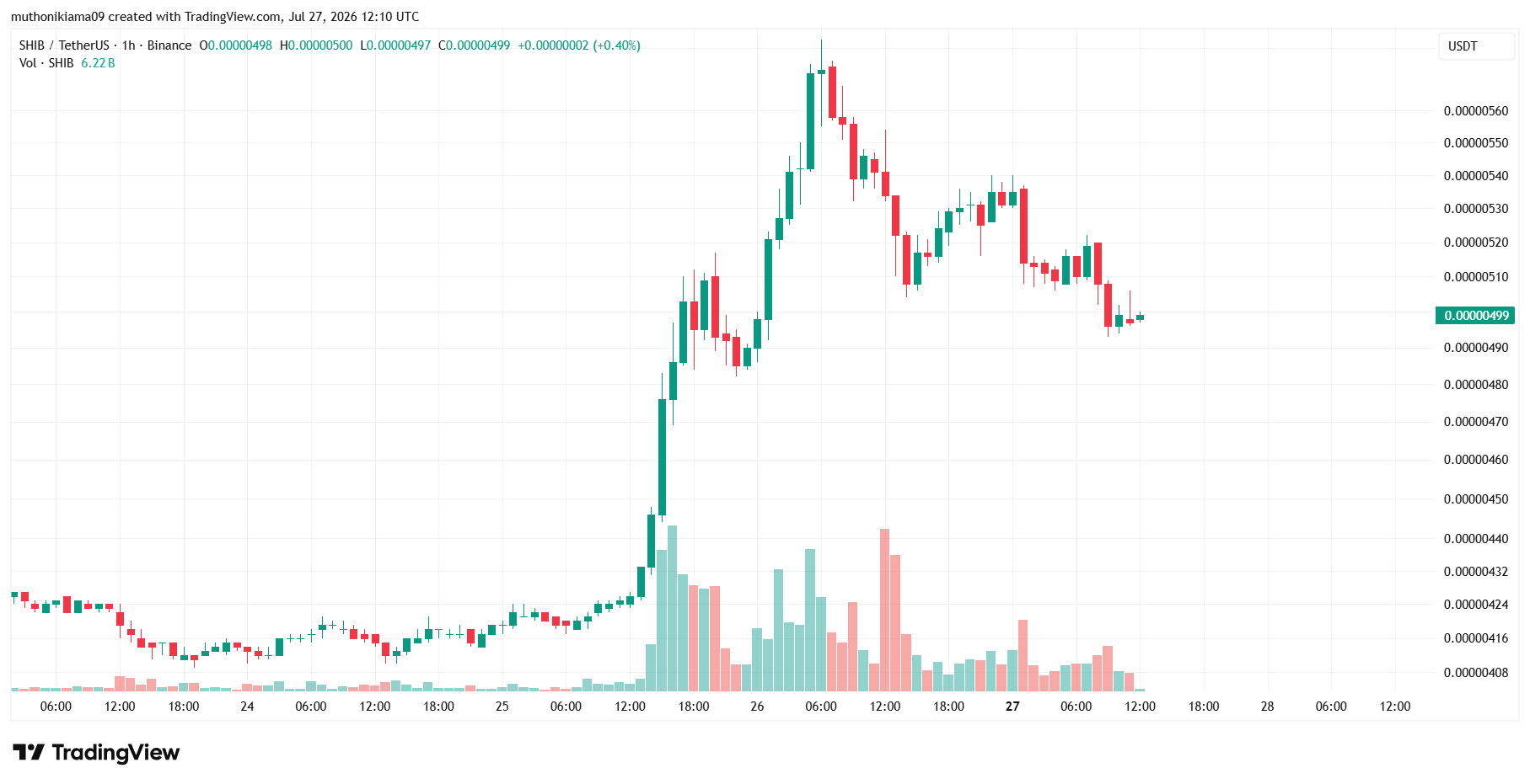 SHIB Price Outlook Amid Crash