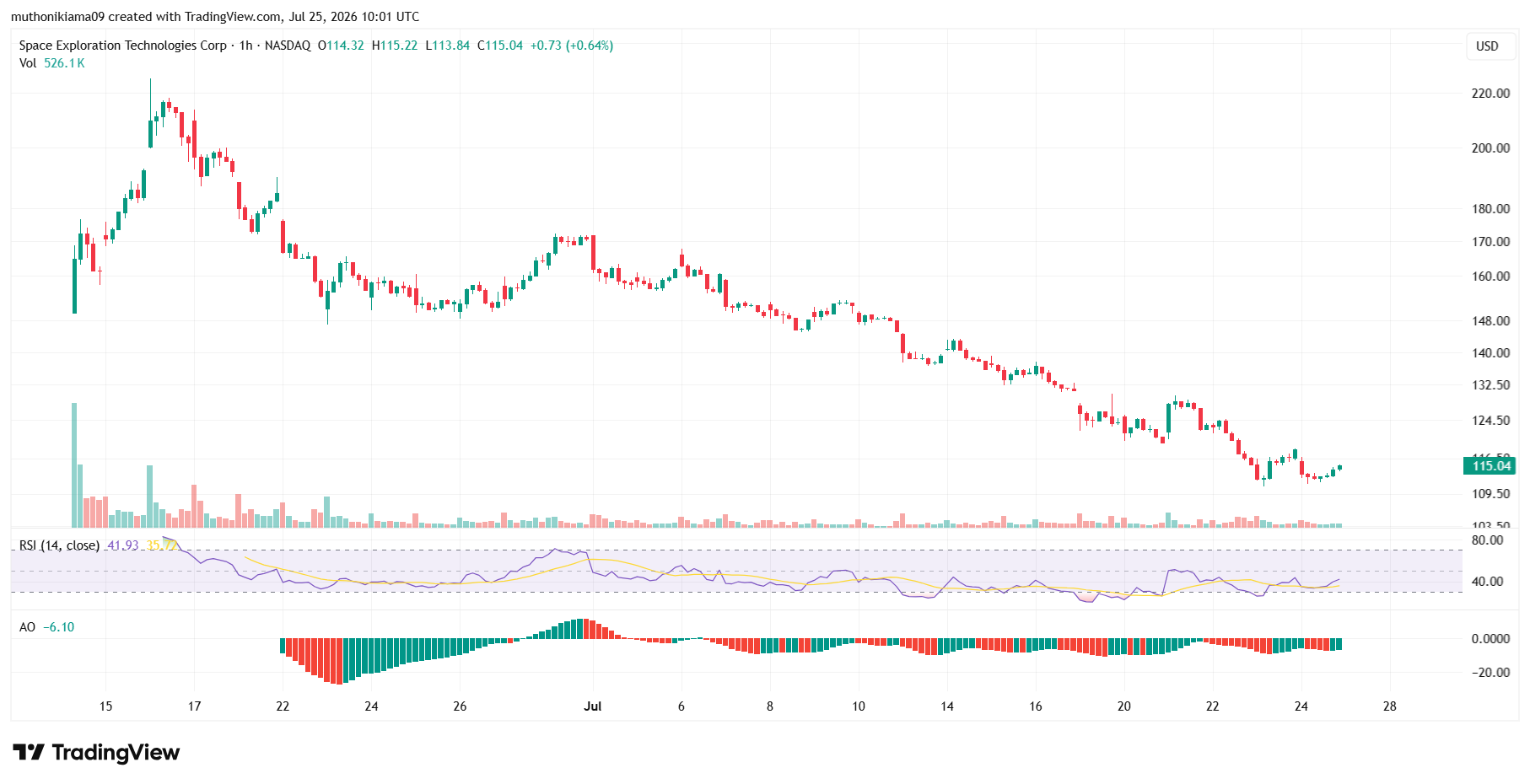 SPCX Stock Forecast After Starship Launch