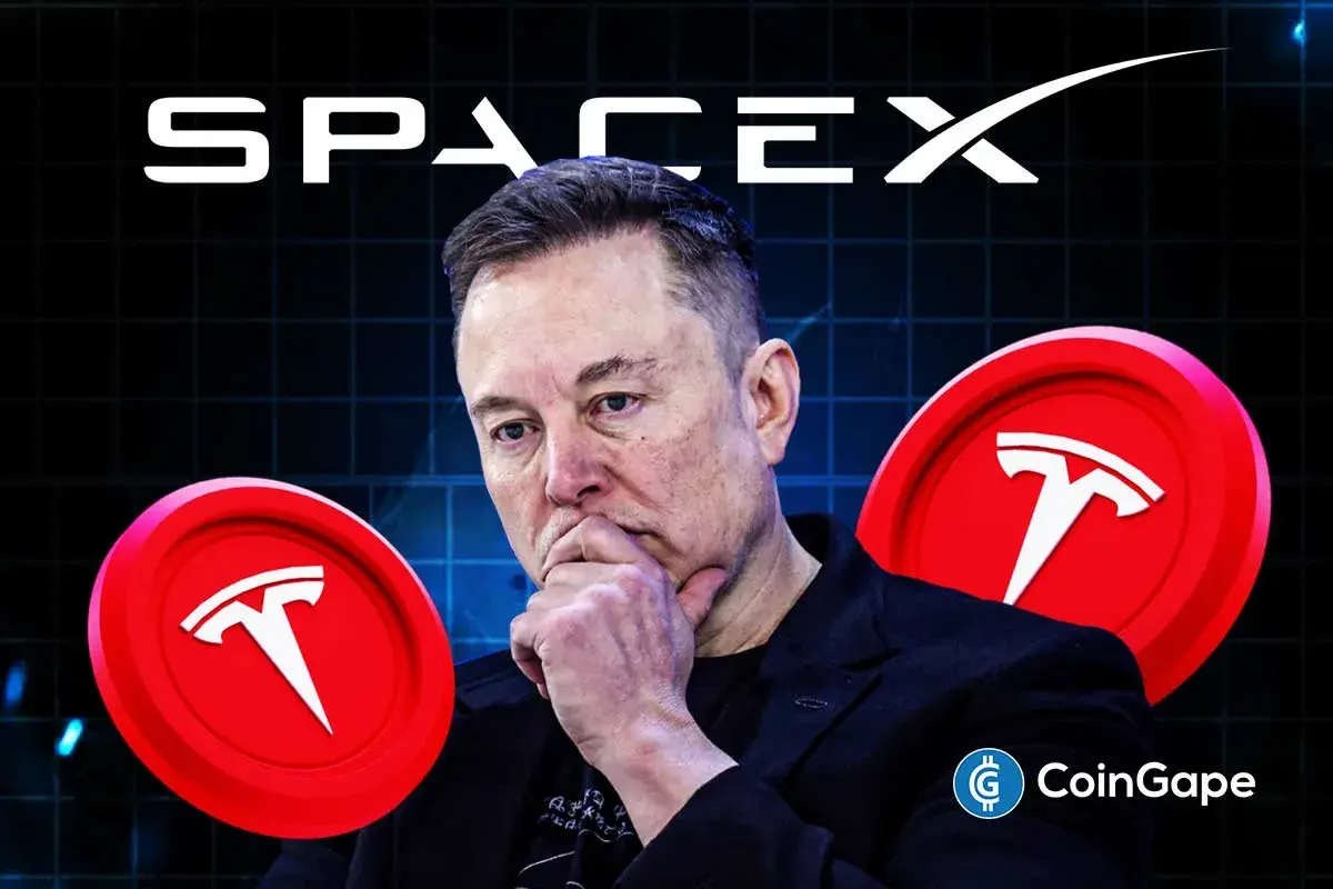 SpaceX Stock Prediction Amid Crash to Record Lows