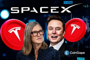 Cathie Wood Snaps Up $60M In Tesla, Circle, Securitize Shares As US Stock Market Crashes