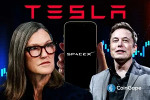 Cathie Wood Buys Another $22M Tesla, SpaceX Stock Amid Elon Musk’s Stark AI Warning