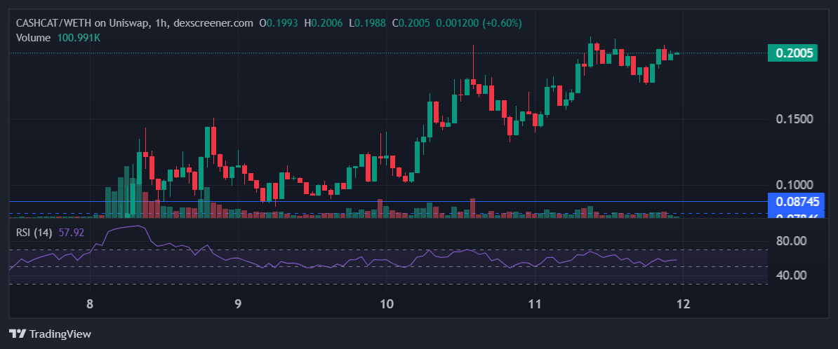 CASHCAT Price Outlook as Price Rallies