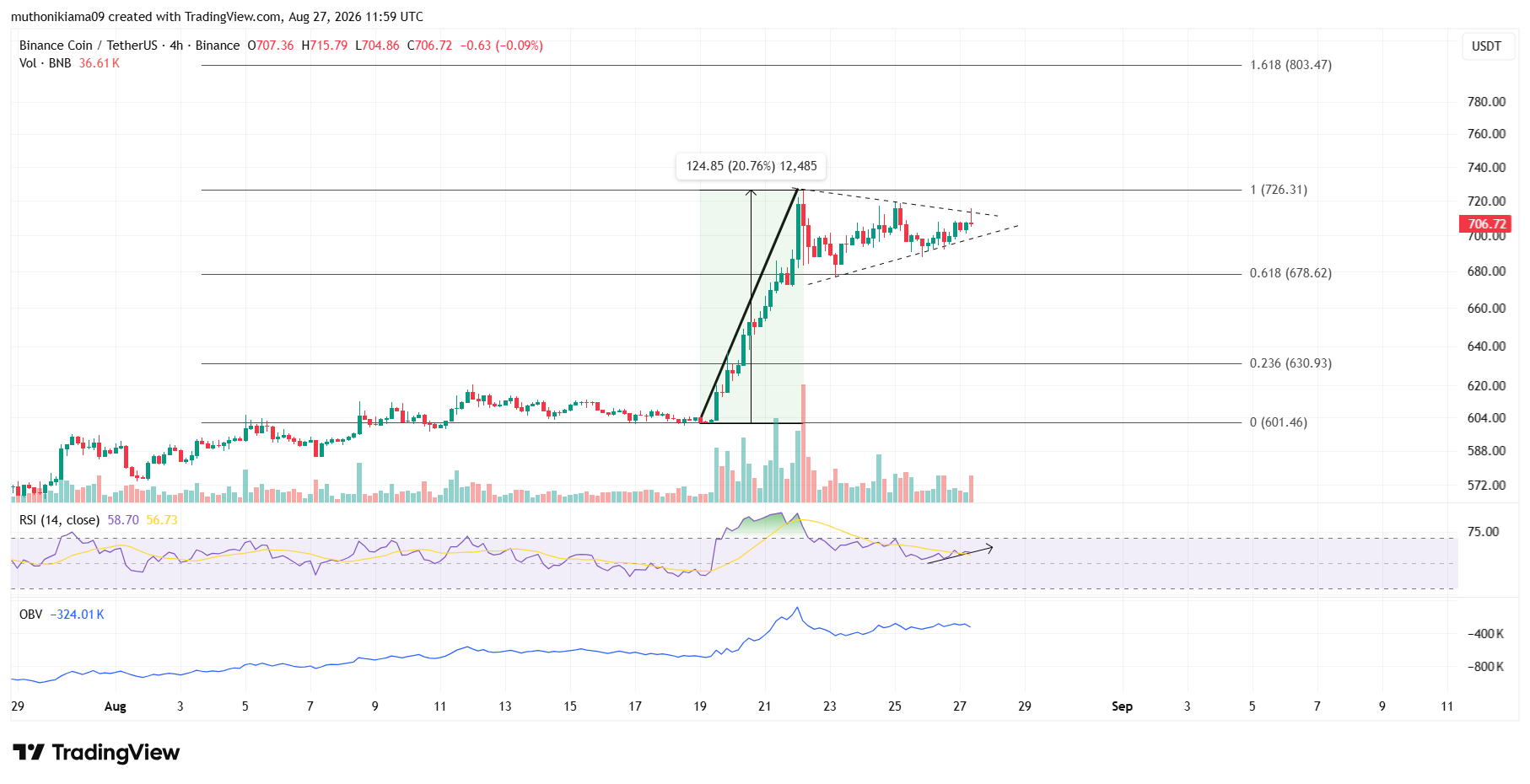 BNB Price Eyes More Gains as a Bullish Pennant Emerges