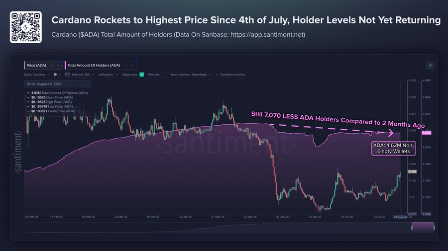 Cardano Price Gains on Long-Term Holder Accumulation