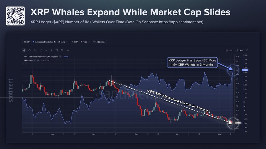 XRP Price in Focus as Whale Activity Rises