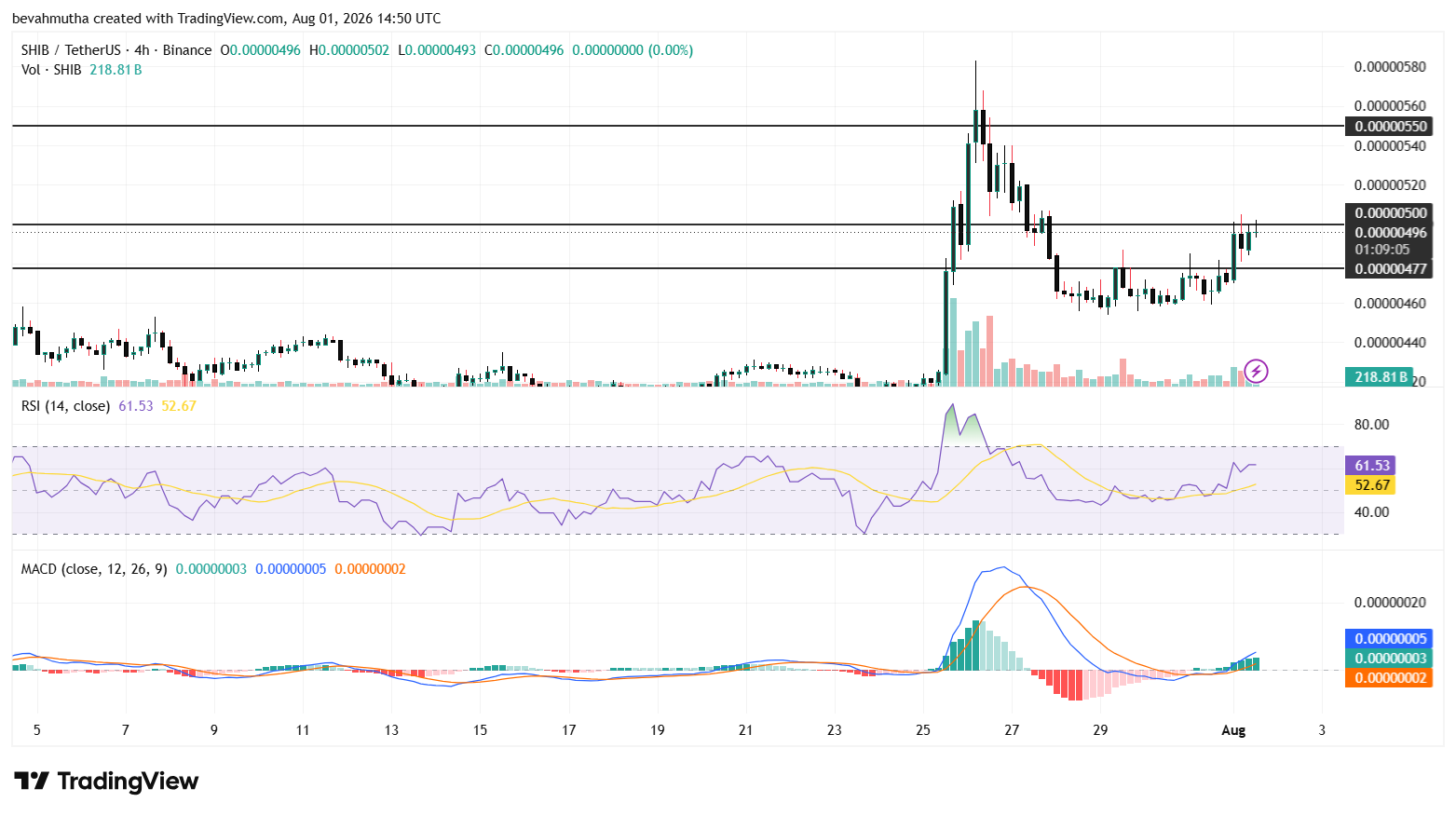 1 Reason Why Shiba Inu (SHIB) Price Is Rising Today?