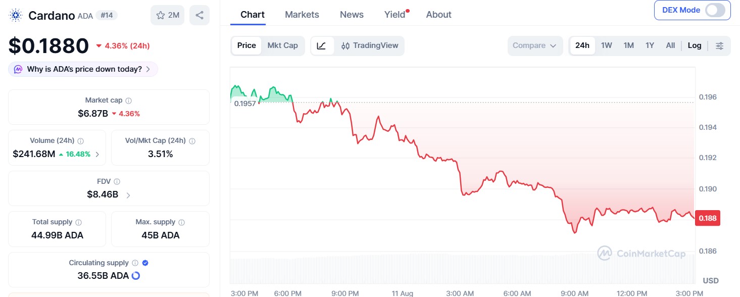 Cardano Price Drops Amid Warning Signs
