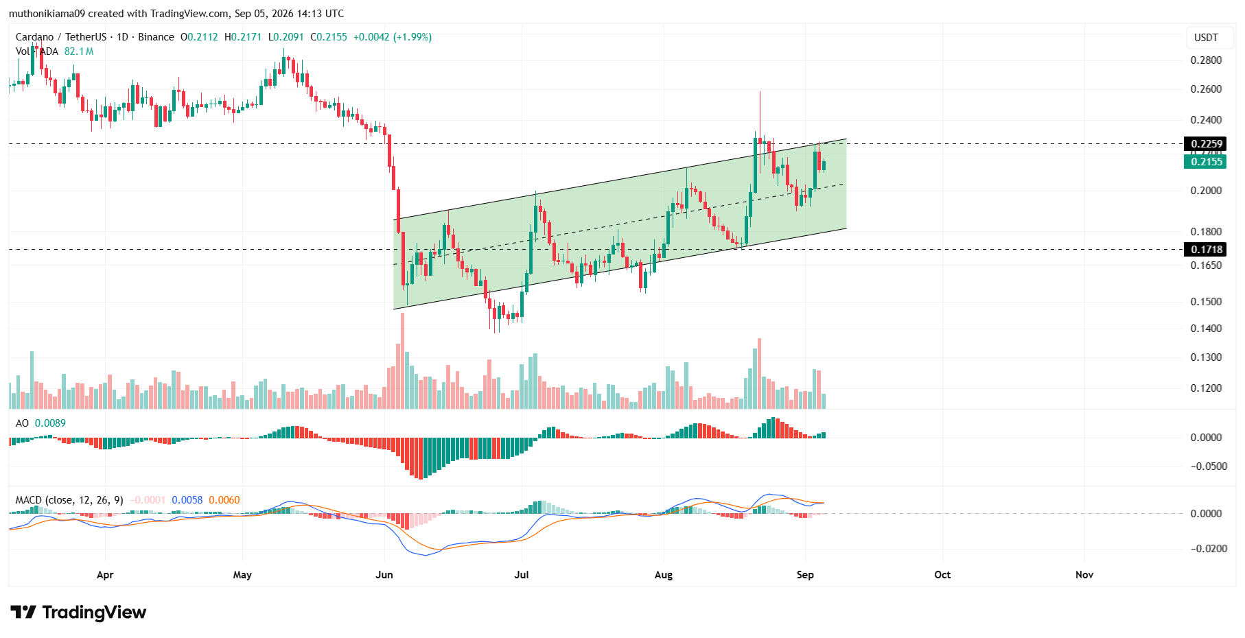Cardano Outlook as Rising Channel Holds
