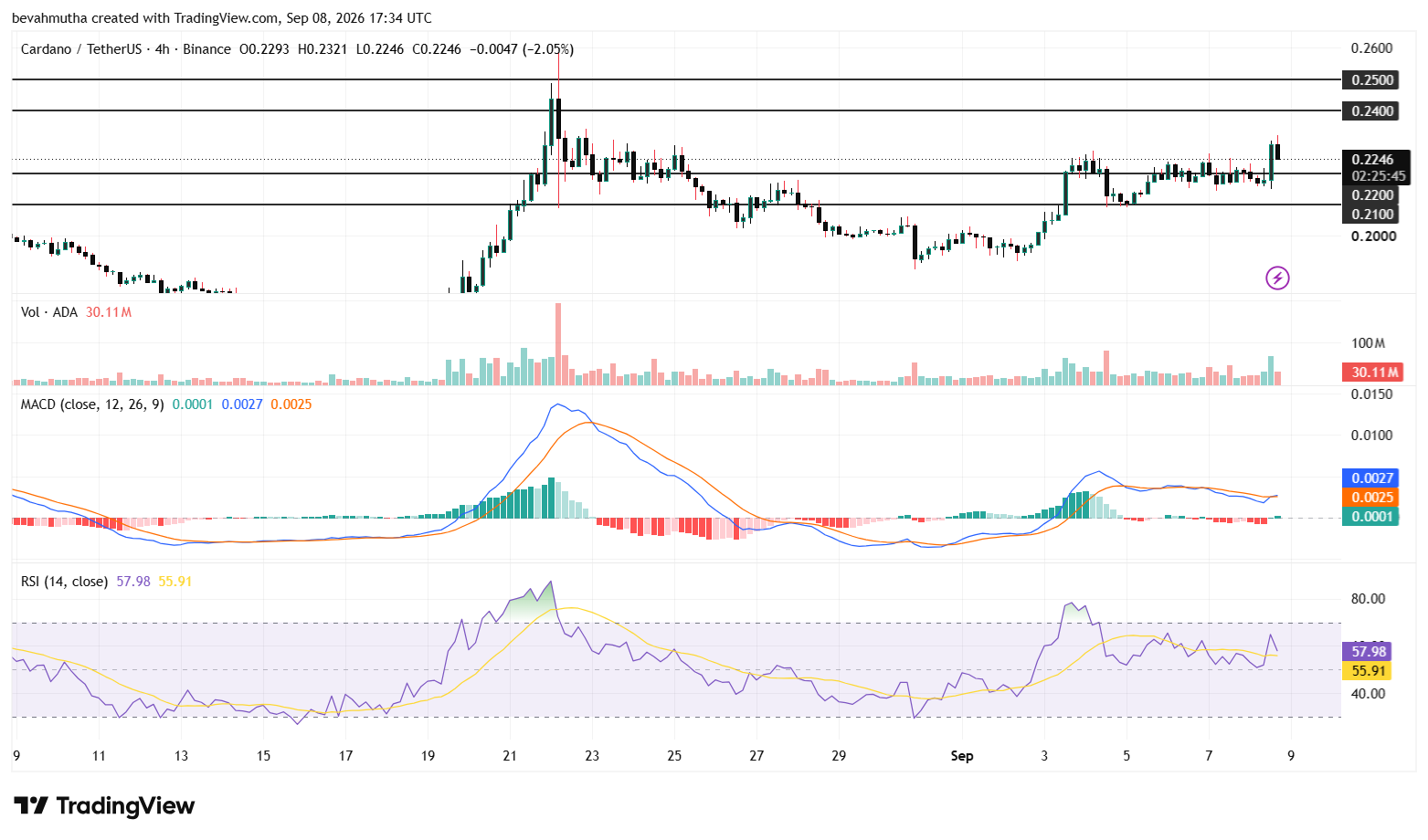 Cardano Price Outlook as Node 11.1.1 Prepares ADA for Dijkstra