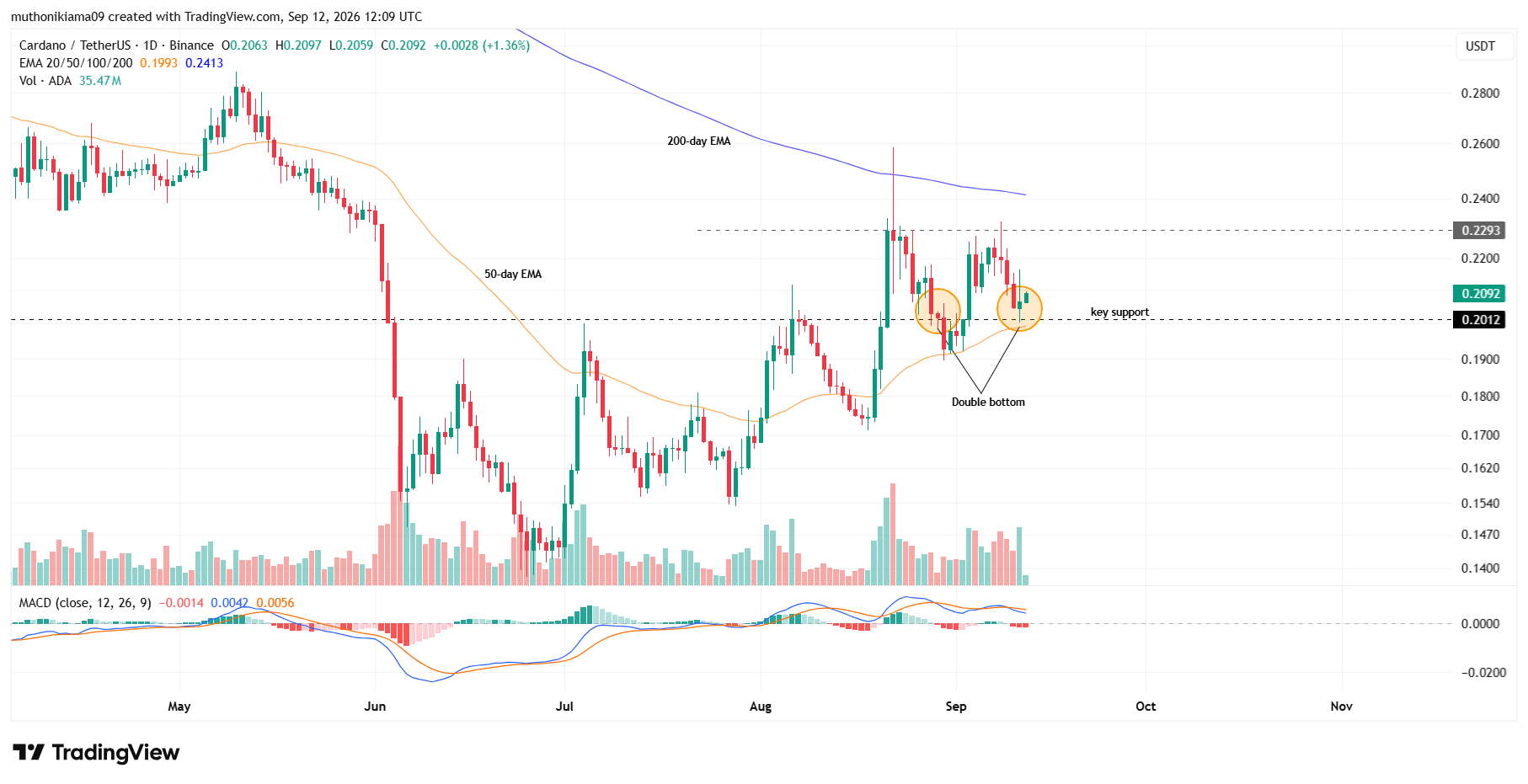 Cardano Price Creates a Double Bottom on the Daily Chart
