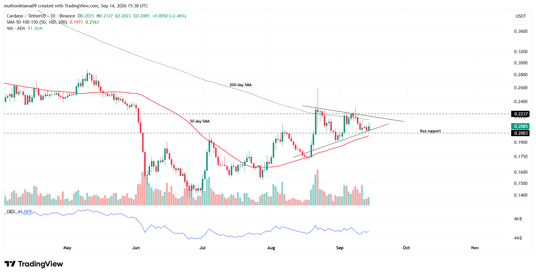 Cardano em Foco com Resistência Chave se Mantendo