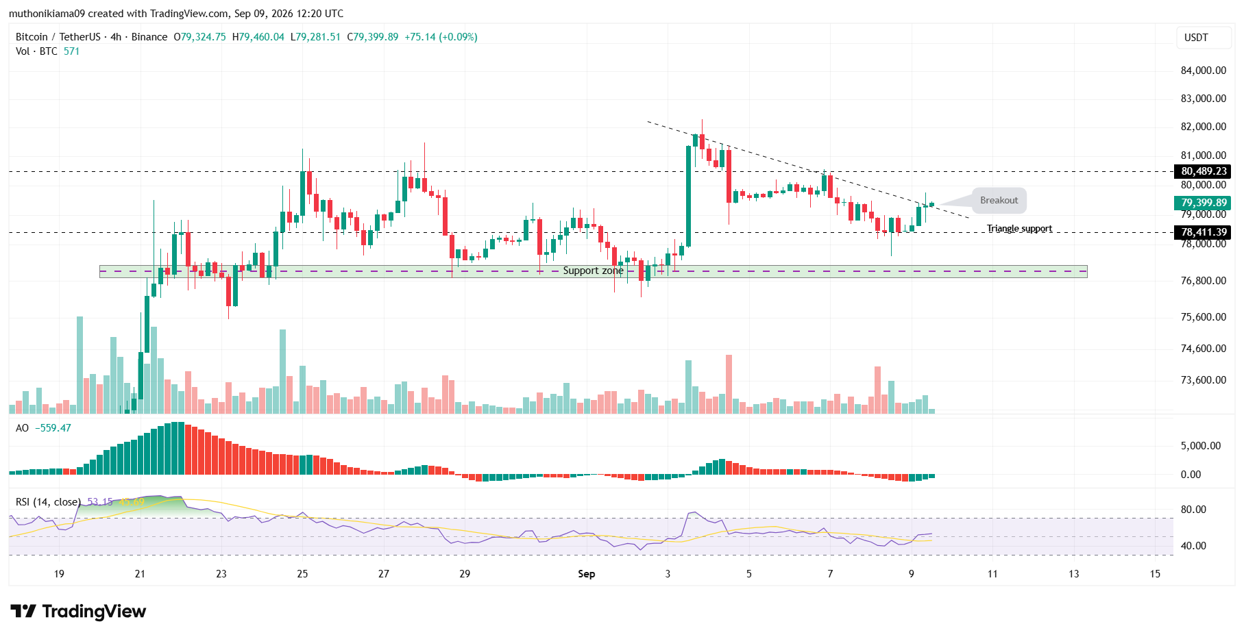 Bitcoin Price Outlook as Bulls Test Resistance