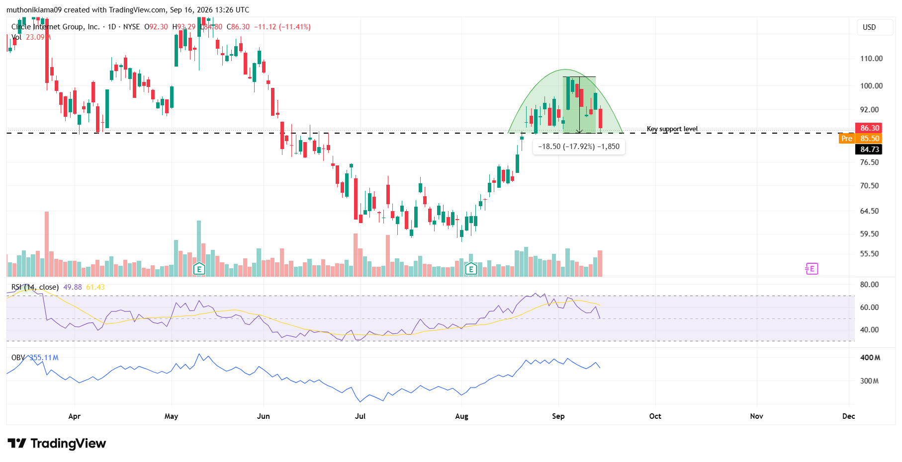 CRCL Stock Drops Below Key Support