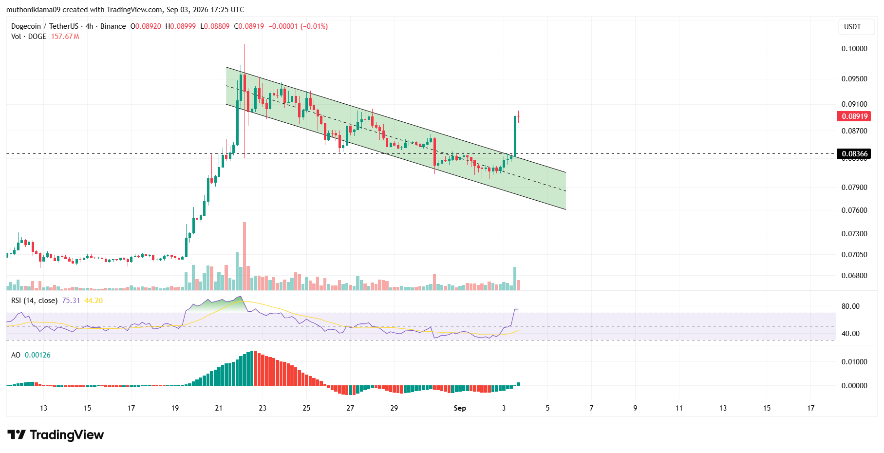 Dogecoin Outlook as ETF Inflows Surge
