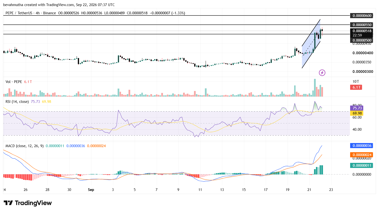 What Is Driving the Pepe Coin Price Rally of 30% Today