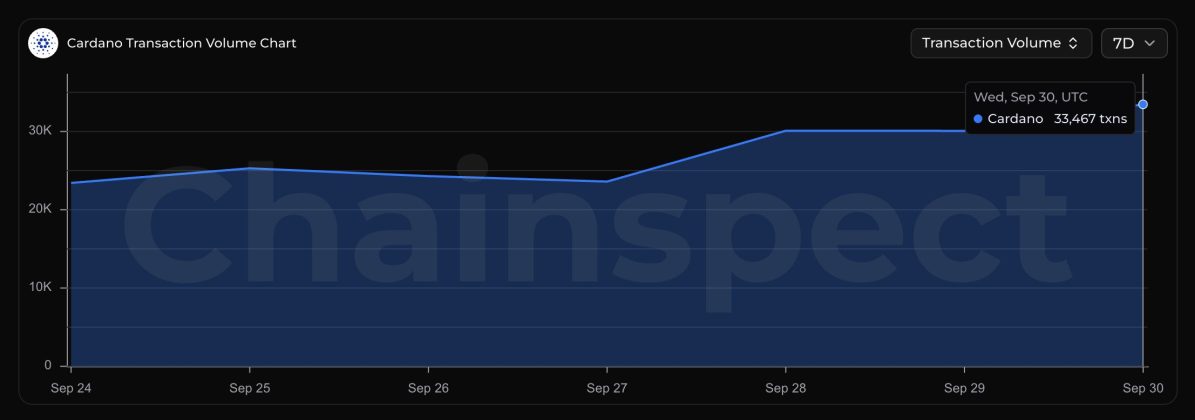 Cardano Price Prediction in Focus as Daily Transactions Hit a Seven-Day High