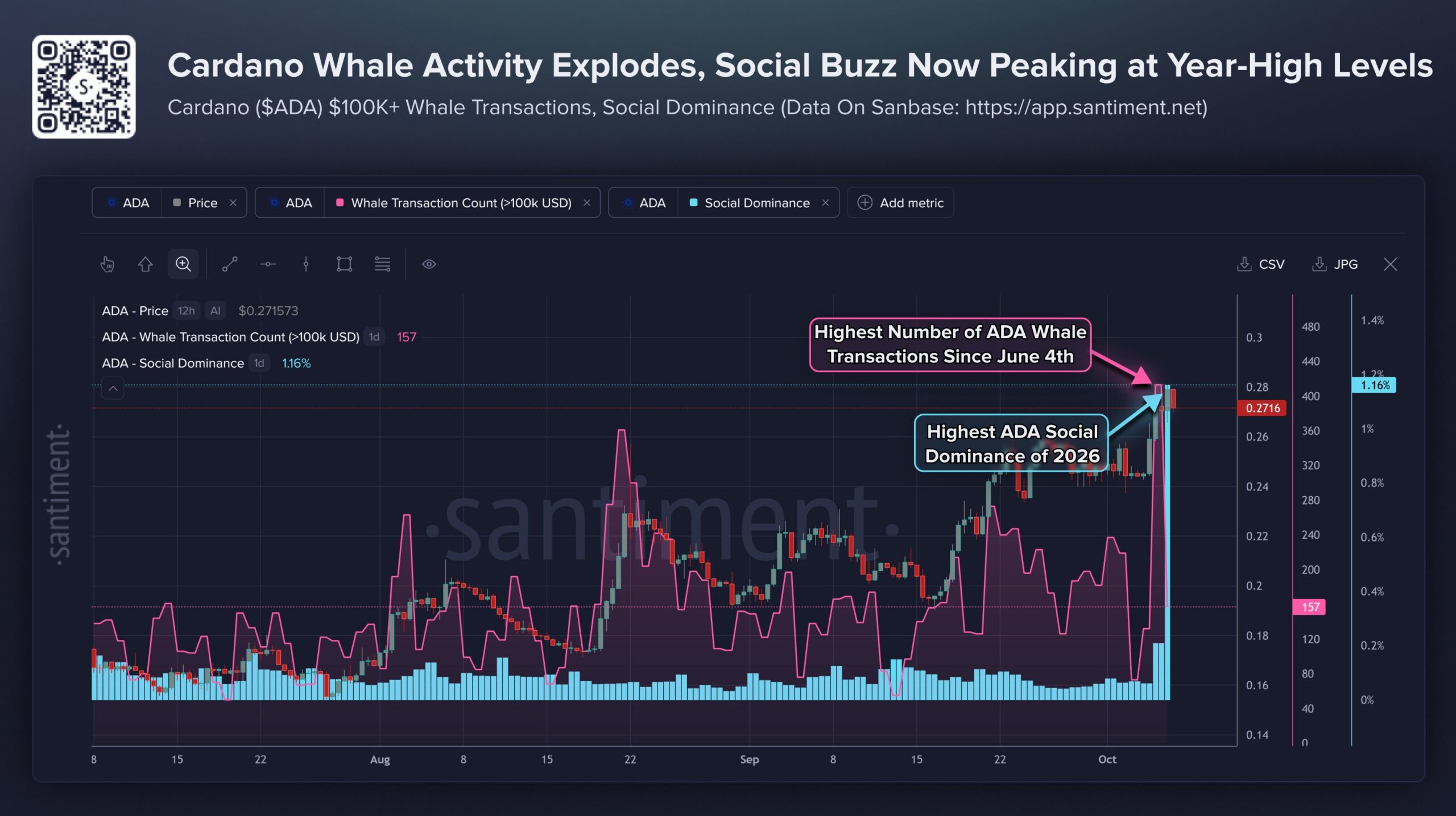 Cardano Price Outlook Eyes Recovery to $0.30 as Whale Activity Surges