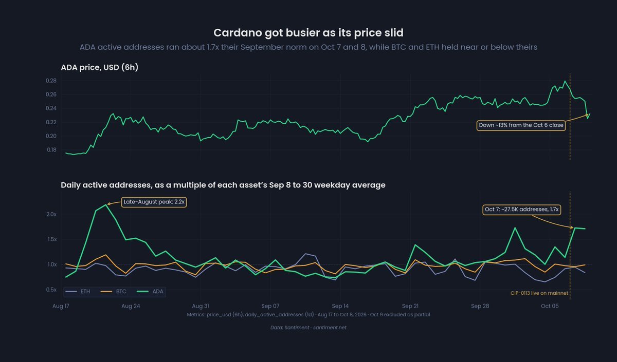 Cardano Price Outlook Targets $0.30 Breakout as ADA Network Activity Surges