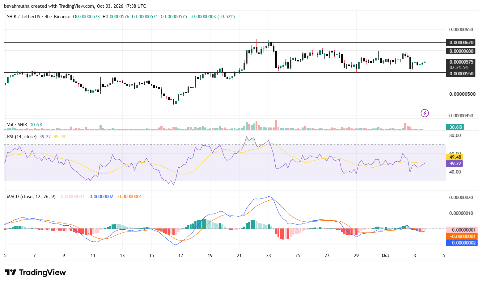 Shiba Inu Price Eyes Recovery as Burn Rate Soars 17,134% in 24 Hours