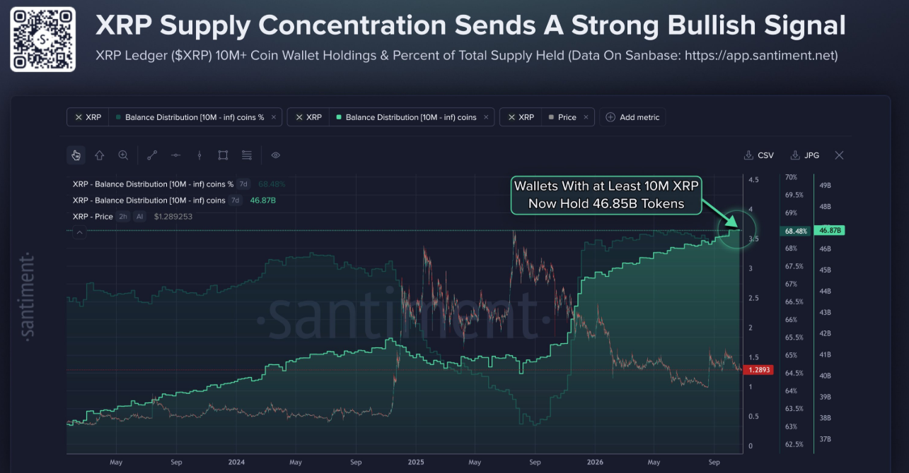 XRP Whale Holdings Surge